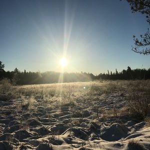 Meet your Posher, Brad